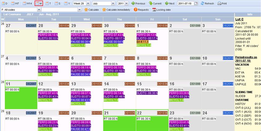 Calendar month overview_English
