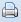 icon printer_English